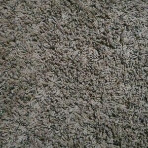 Meet your Posher, Jeffrey